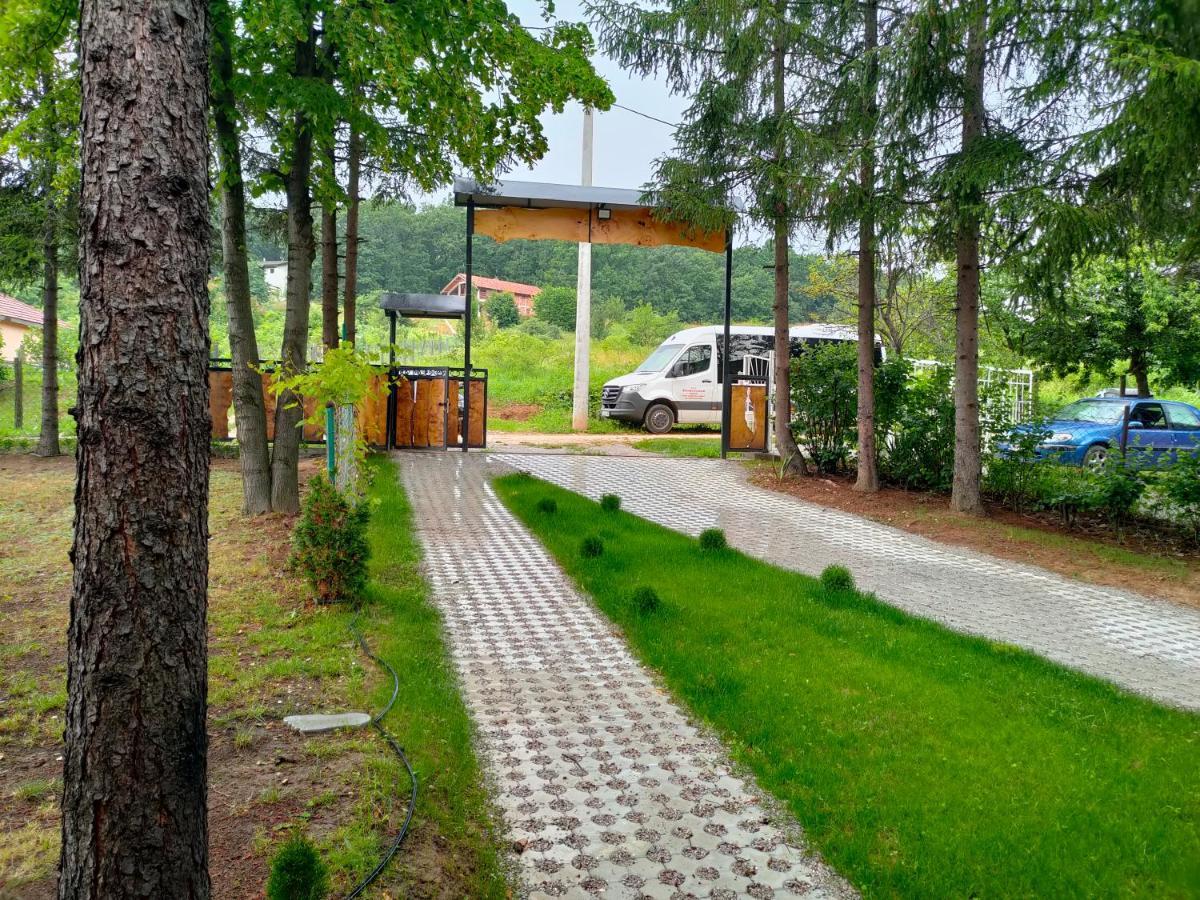 Vila Jezerski Raj Borsko Jezero Exteriér fotografie