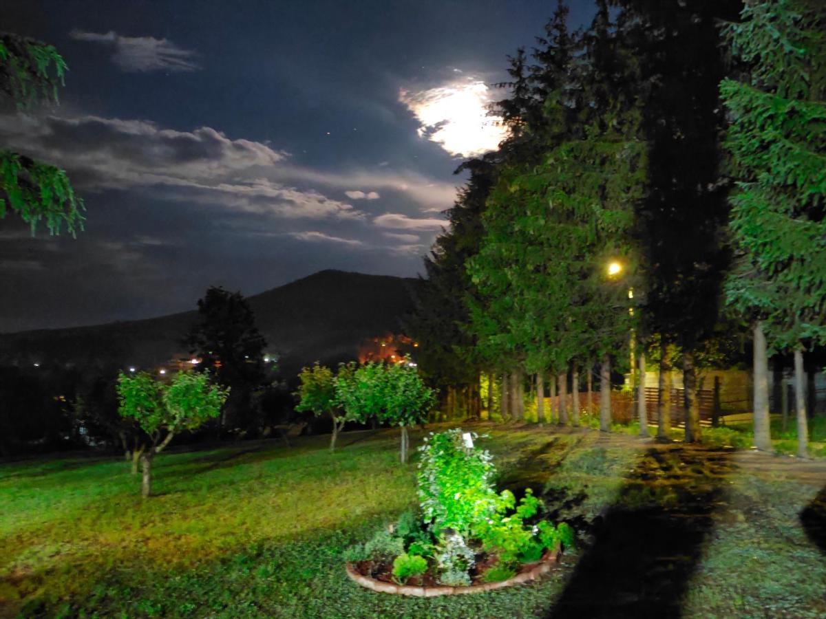 Vila Jezerski Raj Borsko Jezero Exteriér fotografie