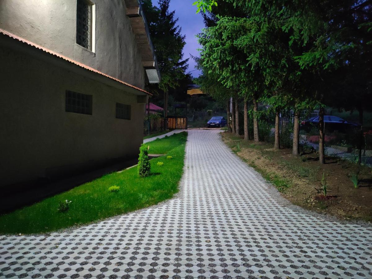 Vila Jezerski Raj Borsko Jezero Exteriér fotografie