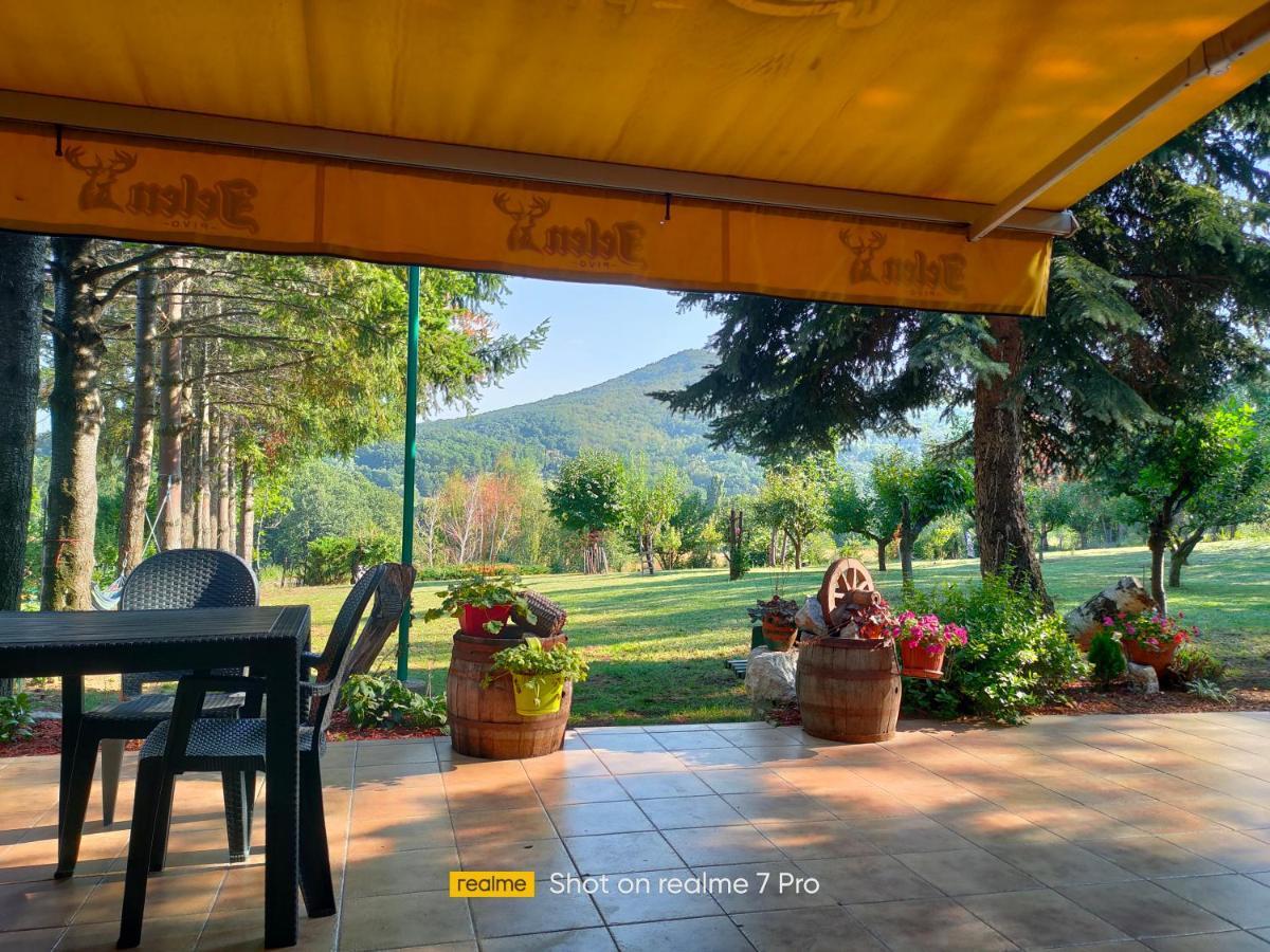 Vila Jezerski Raj Borsko Jezero Exteriér fotografie