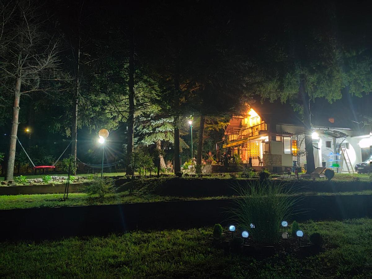 Vila Jezerski Raj Borsko Jezero Exteriér fotografie