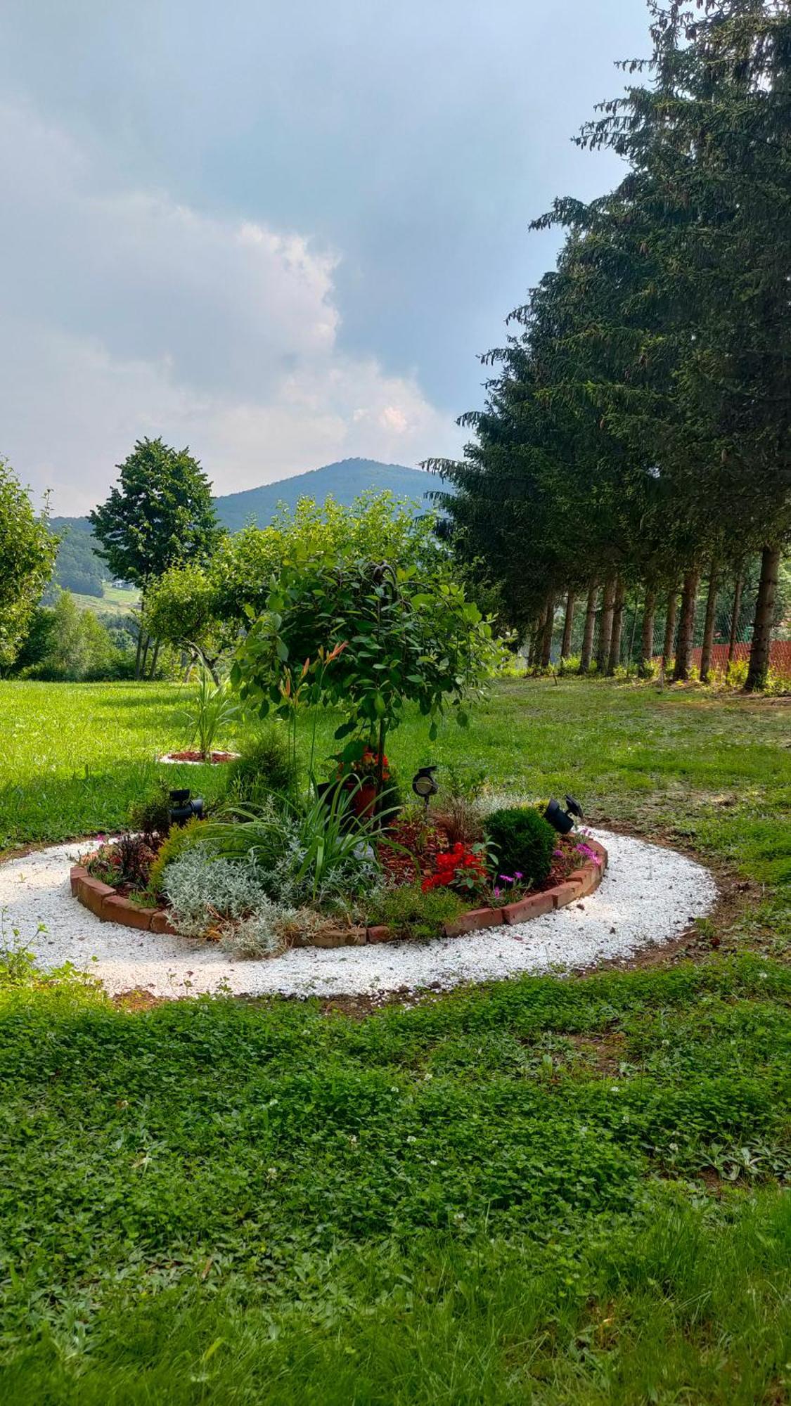 Vila Jezerski Raj Borsko Jezero Exteriér fotografie