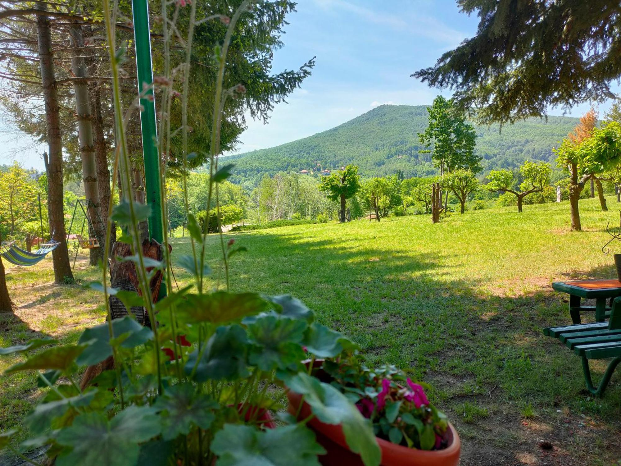 Vila Jezerski Raj Borsko Jezero Exteriér fotografie