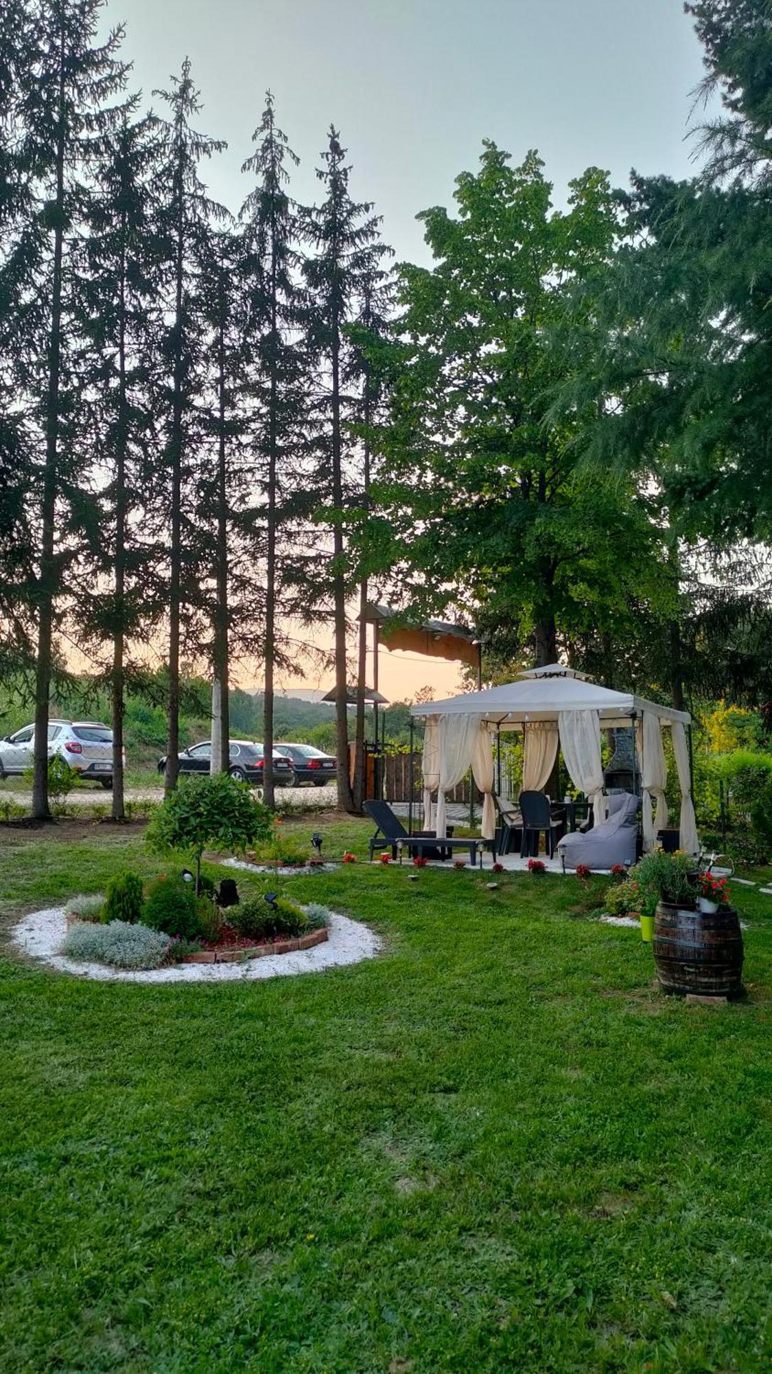 Vila Jezerski Raj Borsko Jezero Exteriér fotografie